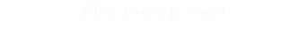 Alita Camsız Kapı