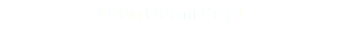 Leon Camlı Kapı